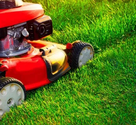 Happy Chappy Mowing Logo