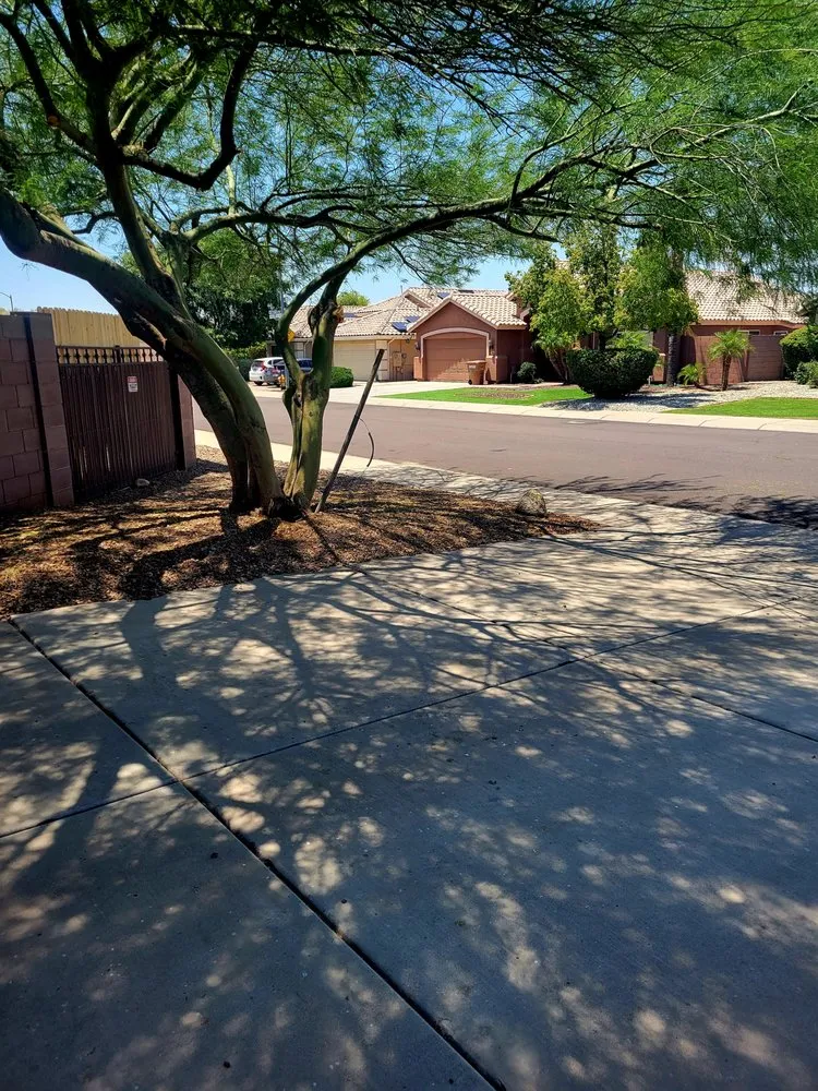 Top-rated residential landscaping in buckeye, AZ - Happy Clean Lawnscapes