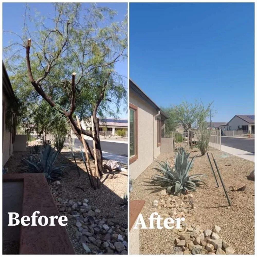 Reliable lawn care service experts serving buckeye, AZ - Happy Clean Lawnscapes