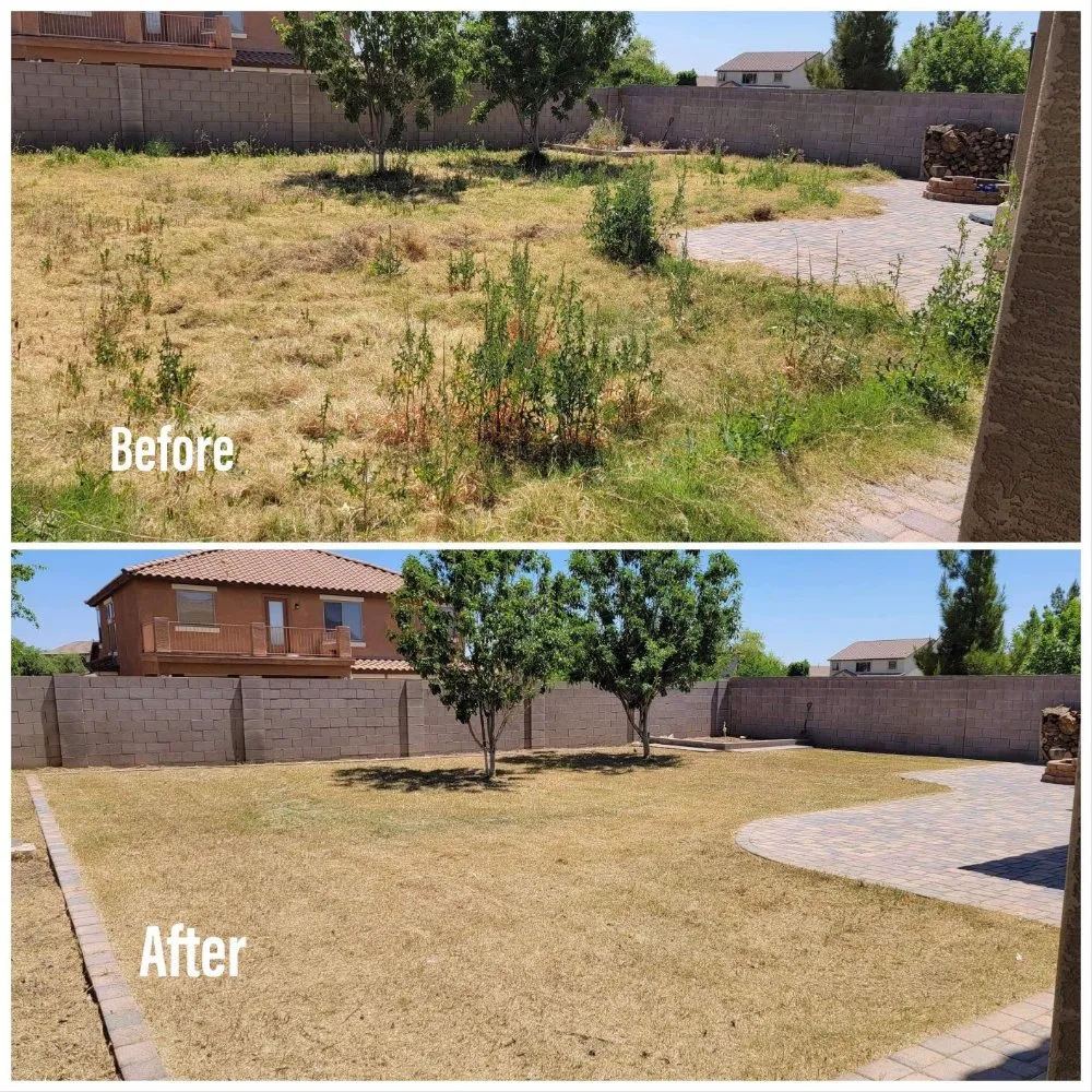 Local outdoor landscaping experts serving buckeye, AZ - Happy Clean Lawnscapes