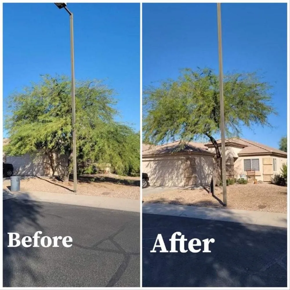 Trusted landscape design near you in buckeye, AZ by Happy Clean Lawnscapes