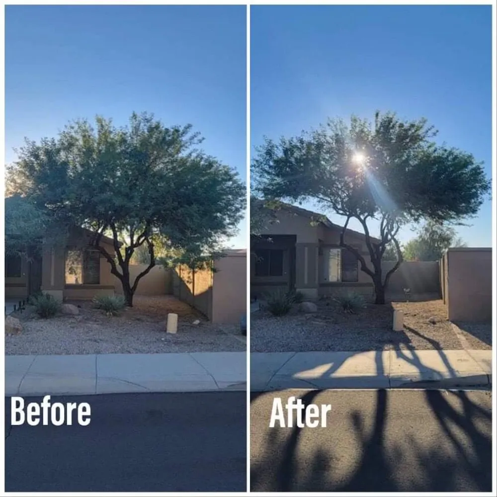 Trusted outdoor landscaping in buckeye, AZ - Happy Clean Lawnscapes