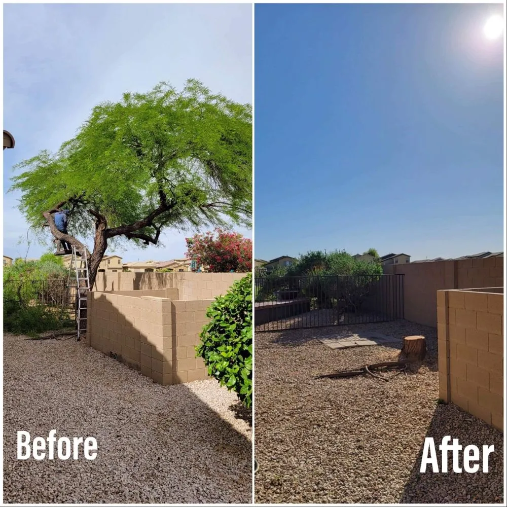 Custom yard cleanup service experts serving buckeye, AZ - Happy Clean Lawnscapes