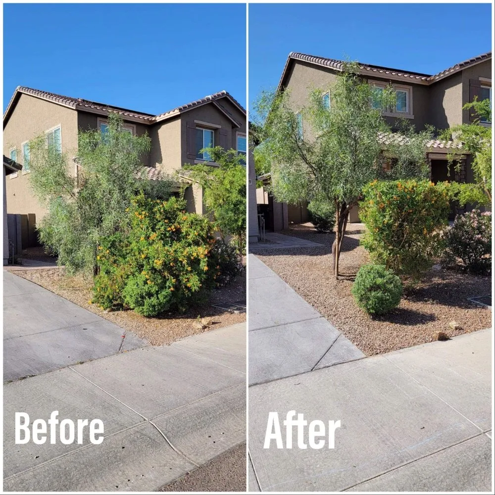 Top-rated lawn mowing service for homes across buckeye, AZ - Happy Clean Lawnscapes