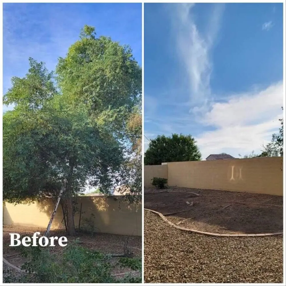 Reliable yard cleanup service experts serving buckeye, AZ - Happy Clean Lawnscapes