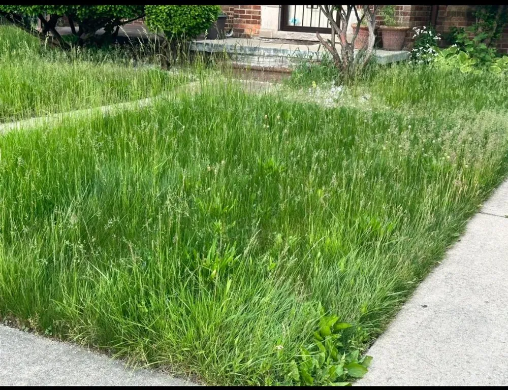 Trusted landscape design for outdoor upgrades in Detroit, MI by Happy Cuts Lawncare