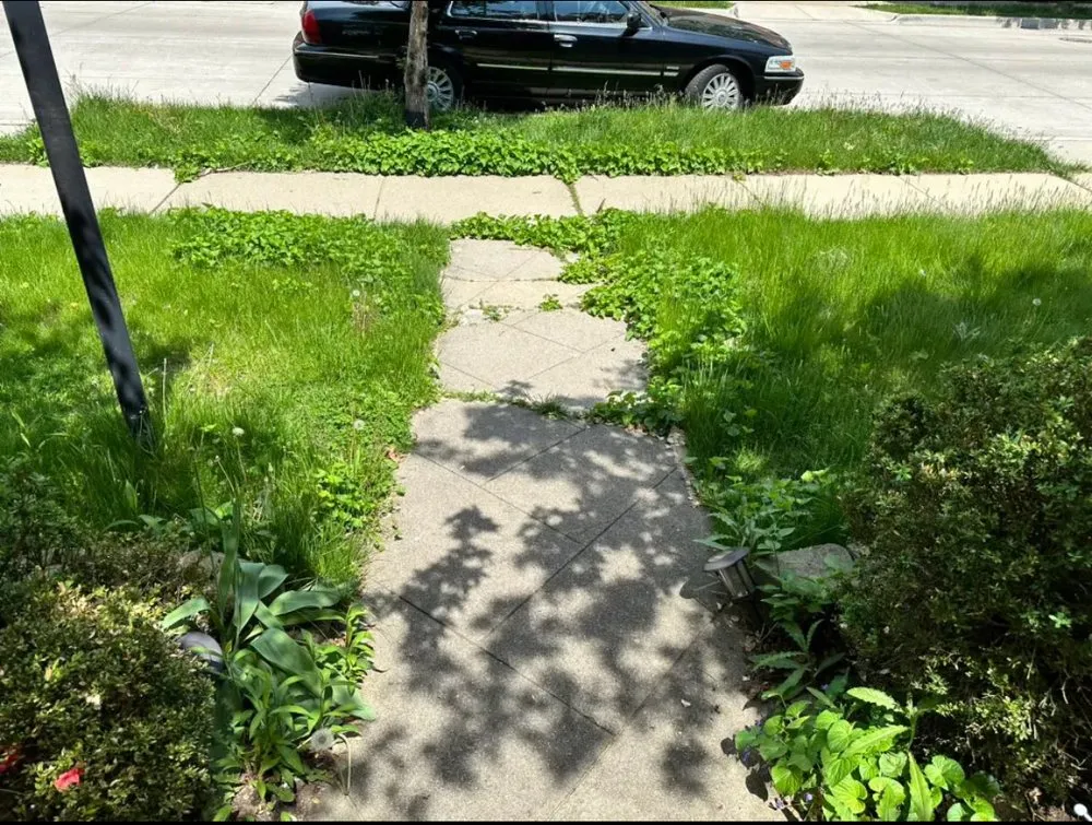 Professional outdoor landscaping in Detroit, MI - Happy Cuts Lawncare