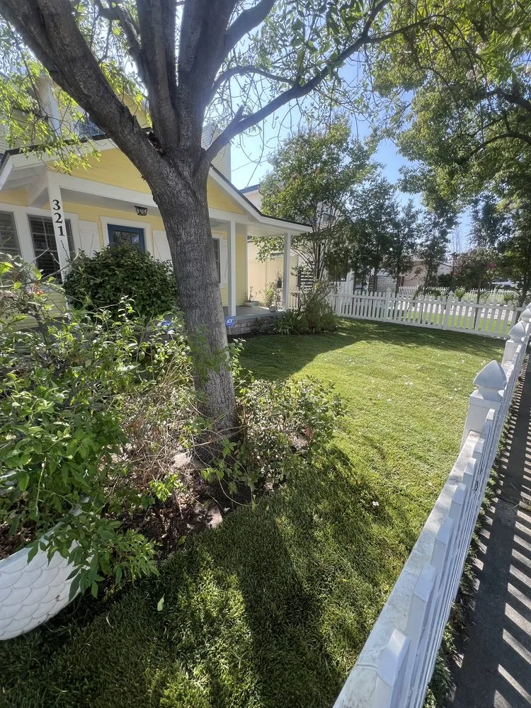 Local landscape design in pasadena, CA by Happy Days Landscaping