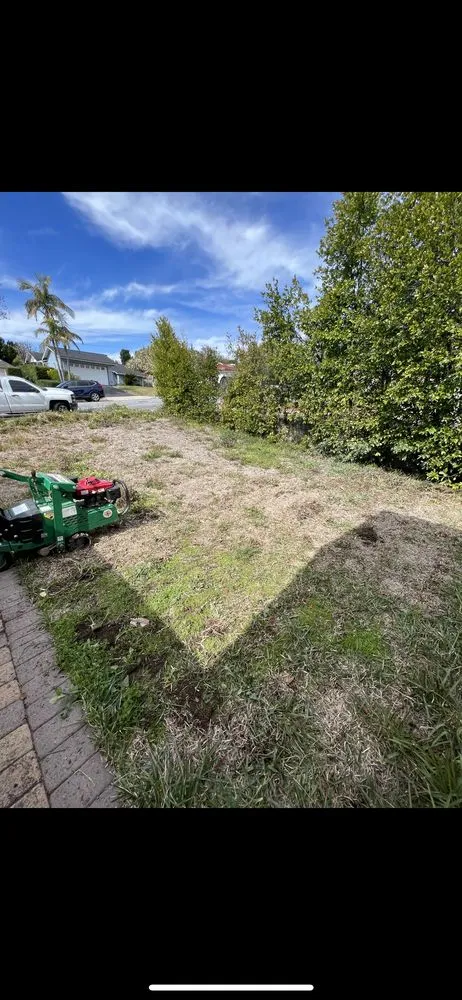 Top-rated outdoor landscaping for year-round maintenance across pasadena, CA - Happy Days Landscaping