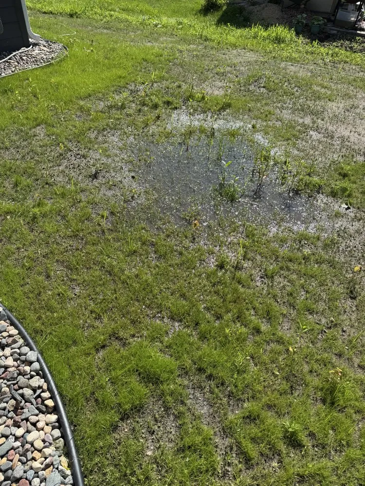 Top-rated lawn care service for outdoor upgrades in Saint Paul Park, MN by Happy Garden Landscaping