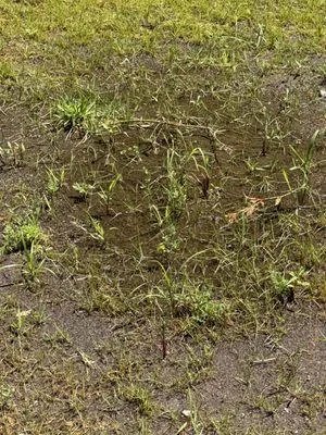 Happy Garden Landscaping