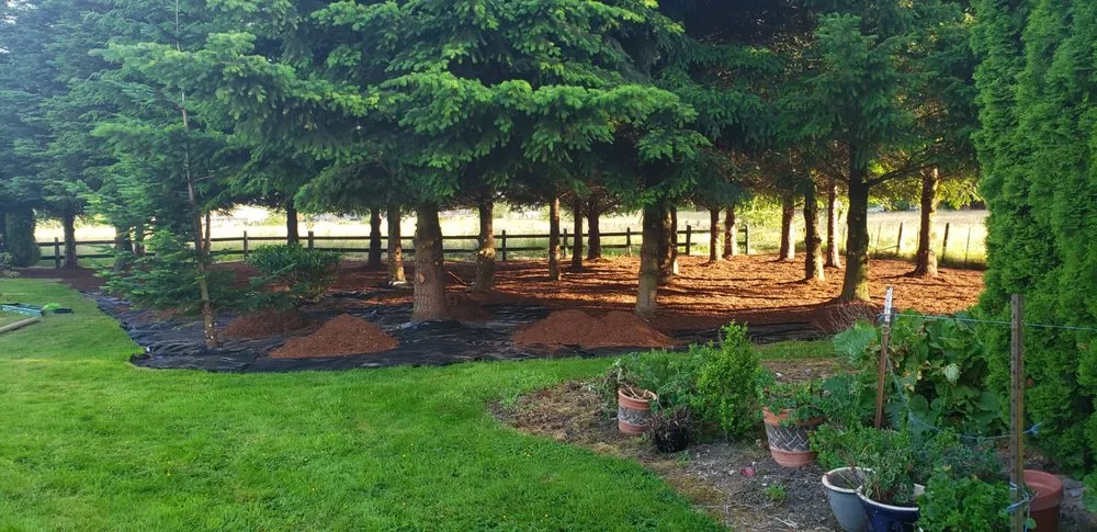 Expert landscape installation near you in Enumclaw, WA by Happy Garden Landscaping Service