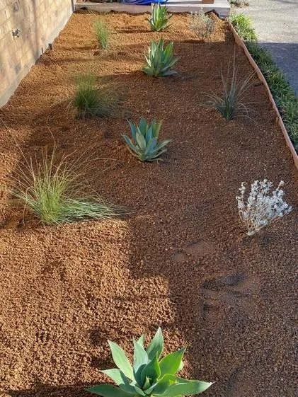 Local residential landscaping for year-round maintenance in Tyler, TX by Happy Gardens Landscape