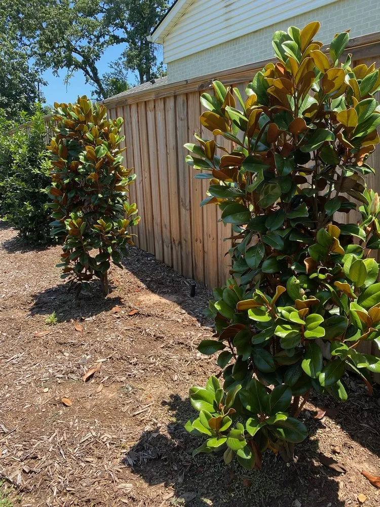 Affordable lawn mowing service in Tyler, TX by Happy Gardens Landscape