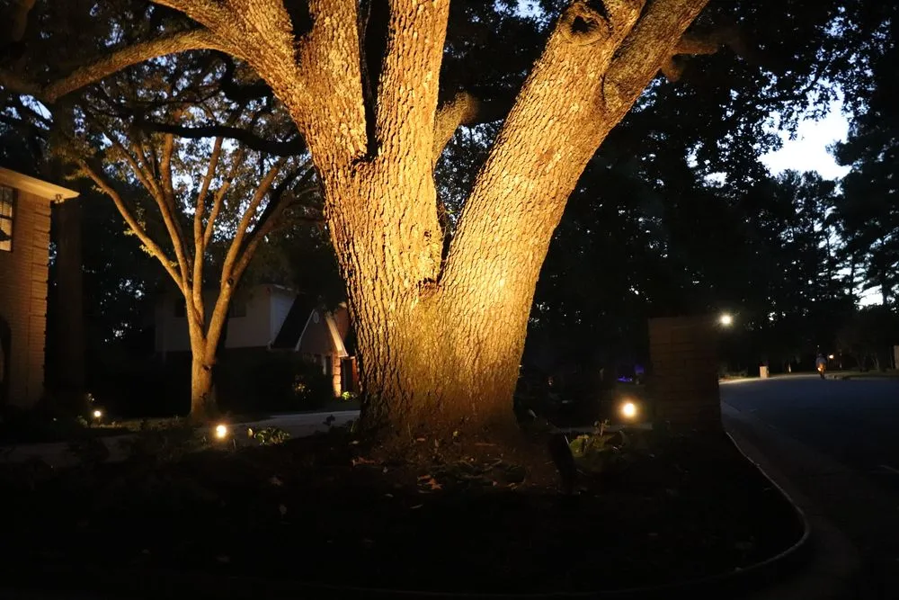 Local lawn care service in Tyler, TX by Happy Gardens Landscape