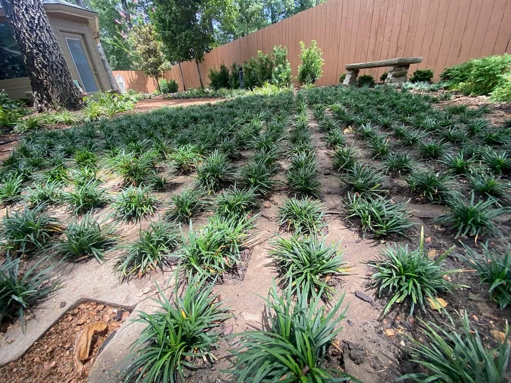 Expert yard cleanup service with custom design in Tyler, TX by Happy Gardens Landscape