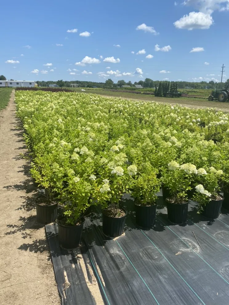 Custom garden landscaping with custom design in Allendale, MI by Happy Gardens Plant Nursery