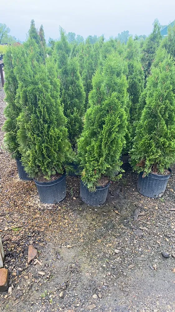 Local landscape installation in Allendale, MI by Happy Gardens Plant Nursery