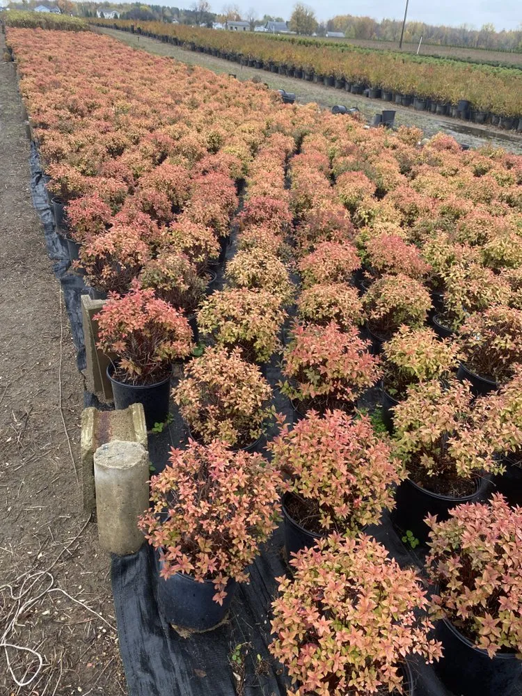 Expert residential landscaping in Allendale, MI - Happy Gardens Plant Nursery