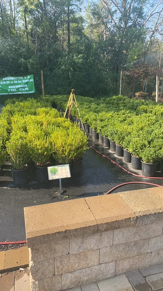 Local yard cleanup service near you across Allendale, MI - Happy Gardens Plant Nursery