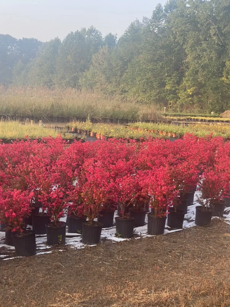 Expert yard maintenance experts serving Allendale, MI - Happy Gardens Plant Nursery