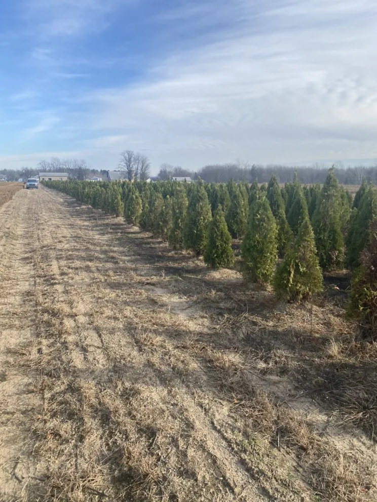 Professional yard maintenance experts serving Allendale, MI - Happy Gardens Plant Nursery
