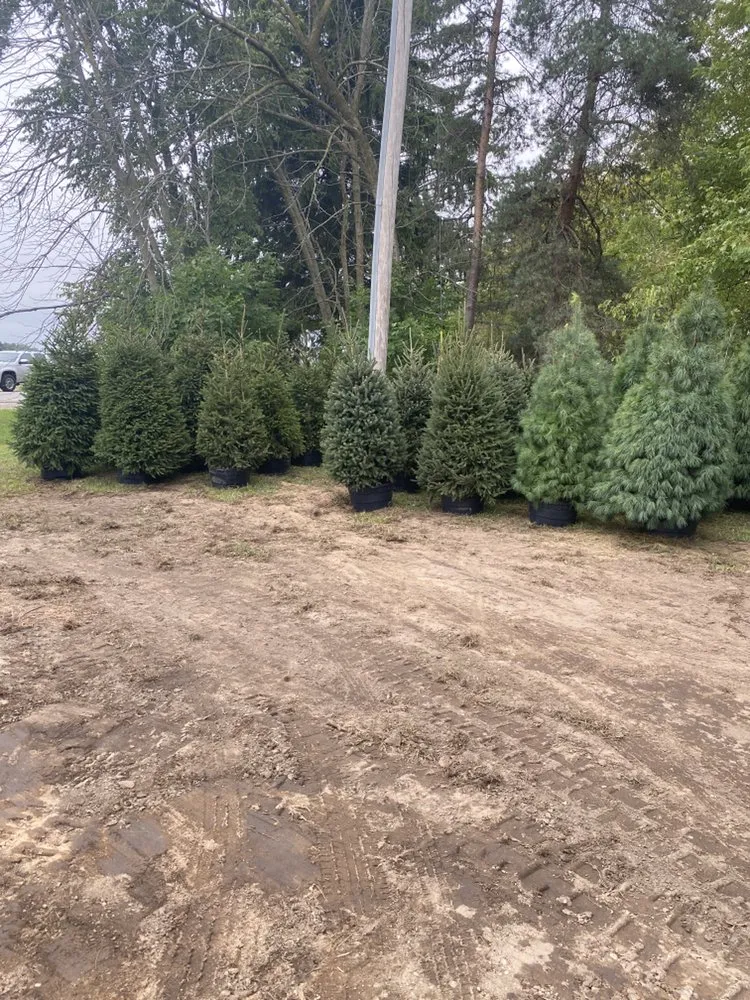 Professional landscape design for beautiful yards in Allendale, MI by Happy Gardens Plant Nursery