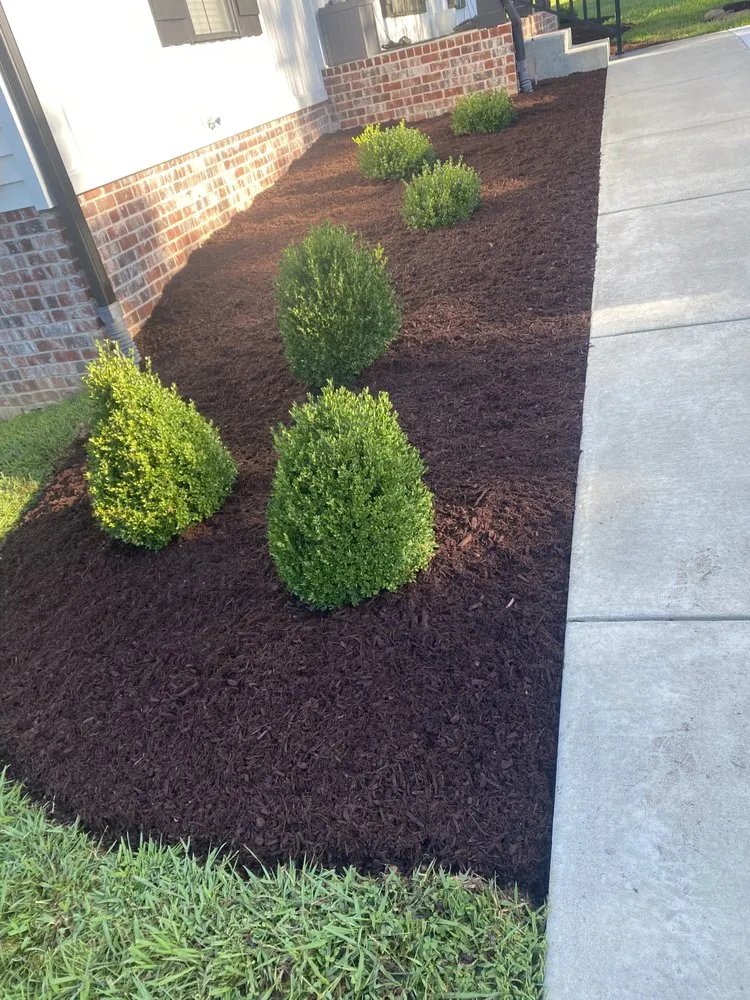 Top-rated lawn care service experts serving Portland, TN - Happy Gorilla Lawn Services