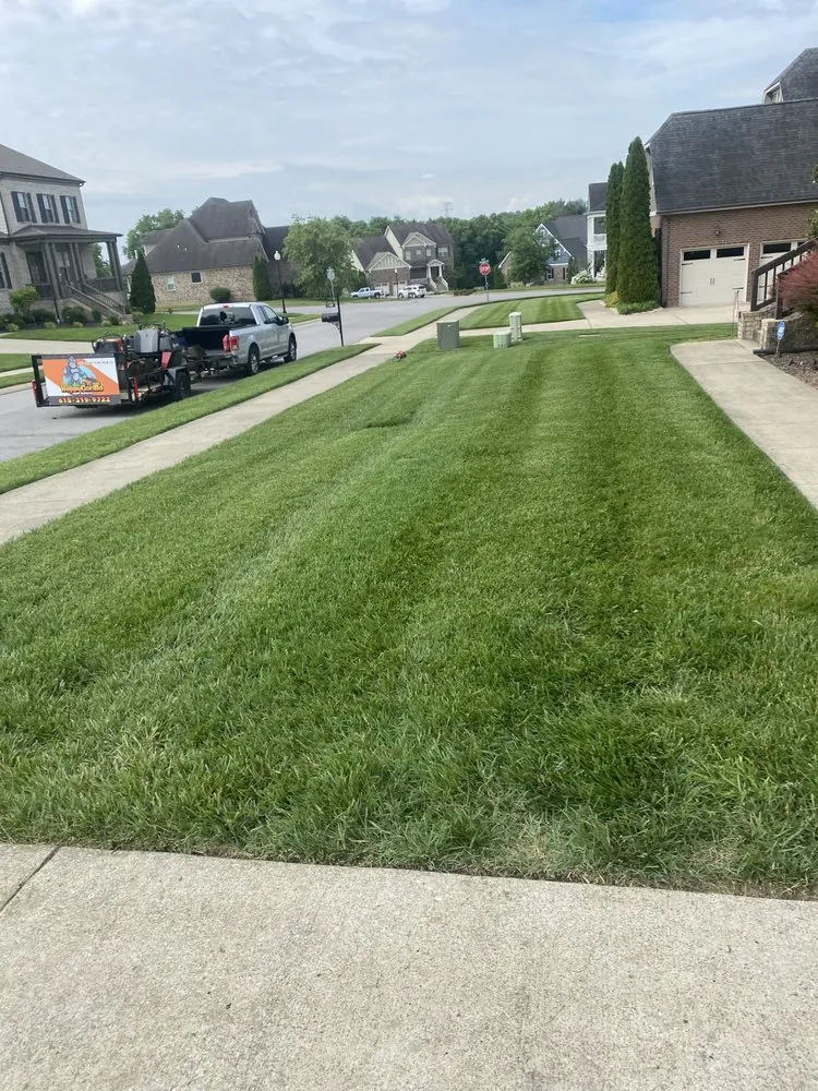 Trusted yard cleanup service experts serving Portland, TN - Happy Gorilla Lawn Services