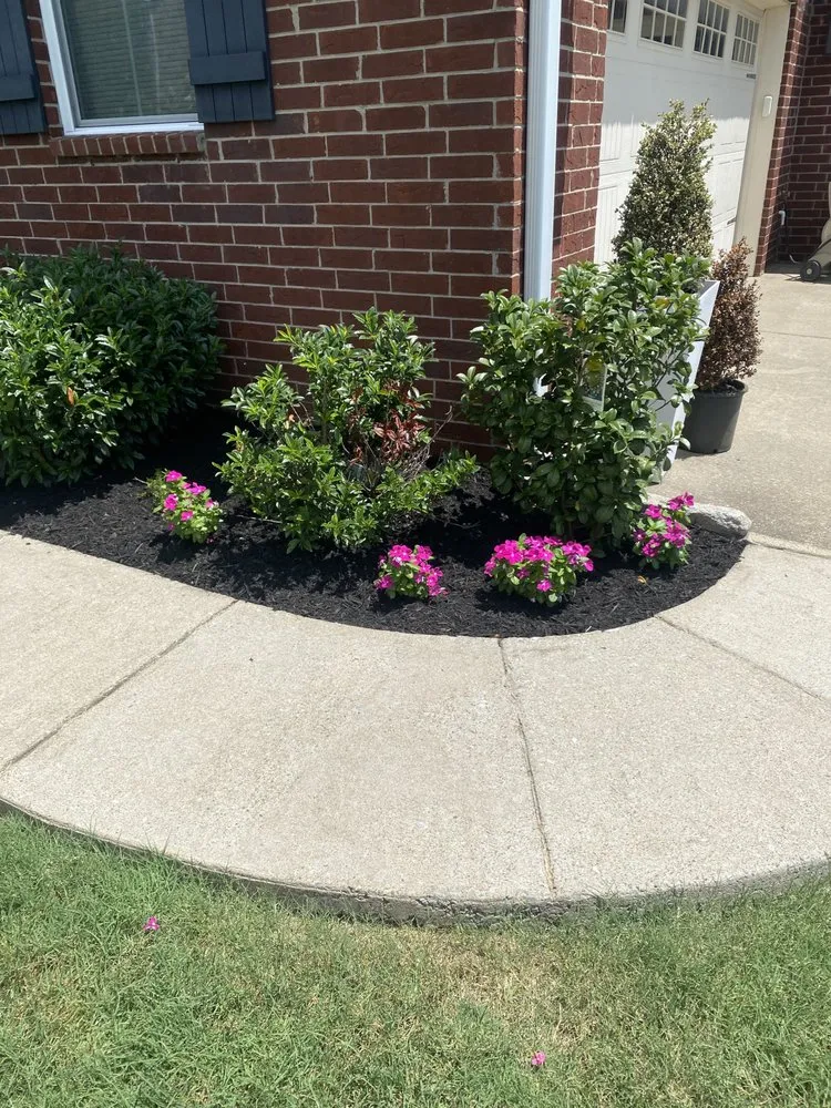 Affordable yard maintenance in Portland, TN - Happy Gorilla Lawn Services