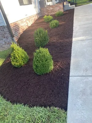 Happy Gorilla Lawn Services Logo