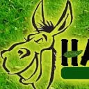 Affordable yard cleanup service for homes across Blacksburg, VA - Happy Grass