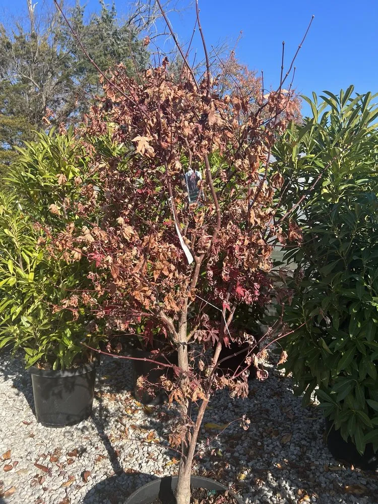 Top-rated garden landscaping for homes in Fenton, MO by Happy Grass