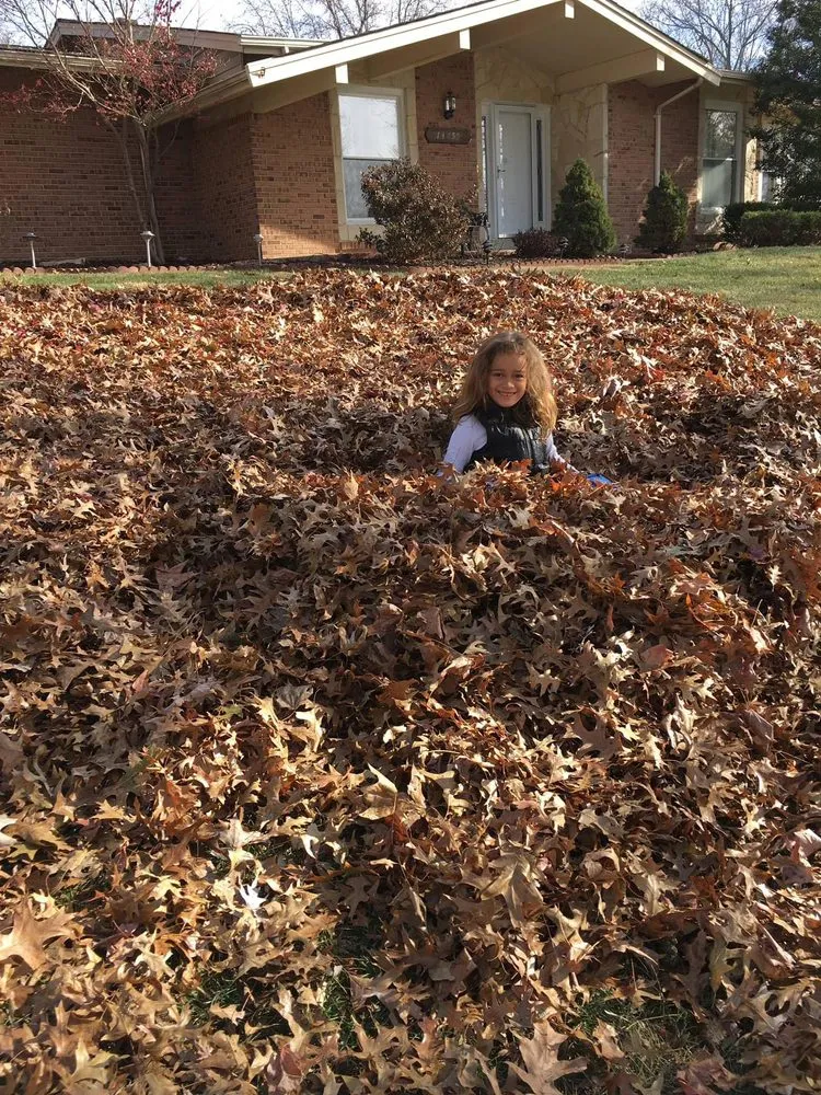 Custom garden landscaping experts serving Fenton, MO - Happy Grass