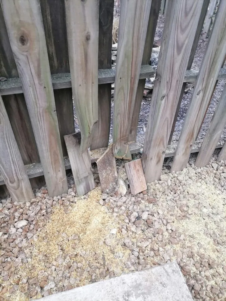 Custom residential landscaping experts serving Fenton, MO - Happy Grass