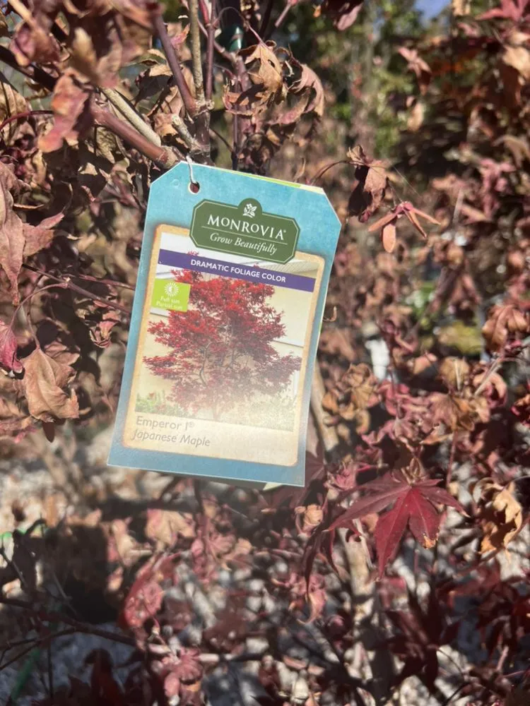 Professional lawn care service for year-round maintenance in Fenton, MO by Happy Grass