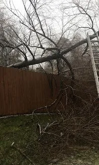 Top-rated lawn mowing service experts serving Fenton, MO - Happy Grass