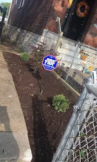 Custom lawn care service in Fenton, MO by Happy Grass