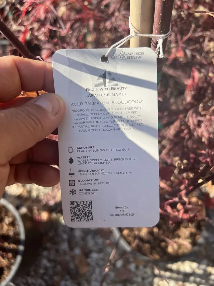 Local lawn care service for outdoor upgrades in Fenton, MO by Happy Grass