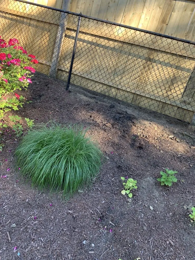 Professional landscape design for year-round maintenance in Stratford, CT by Happy Grass Landscaping