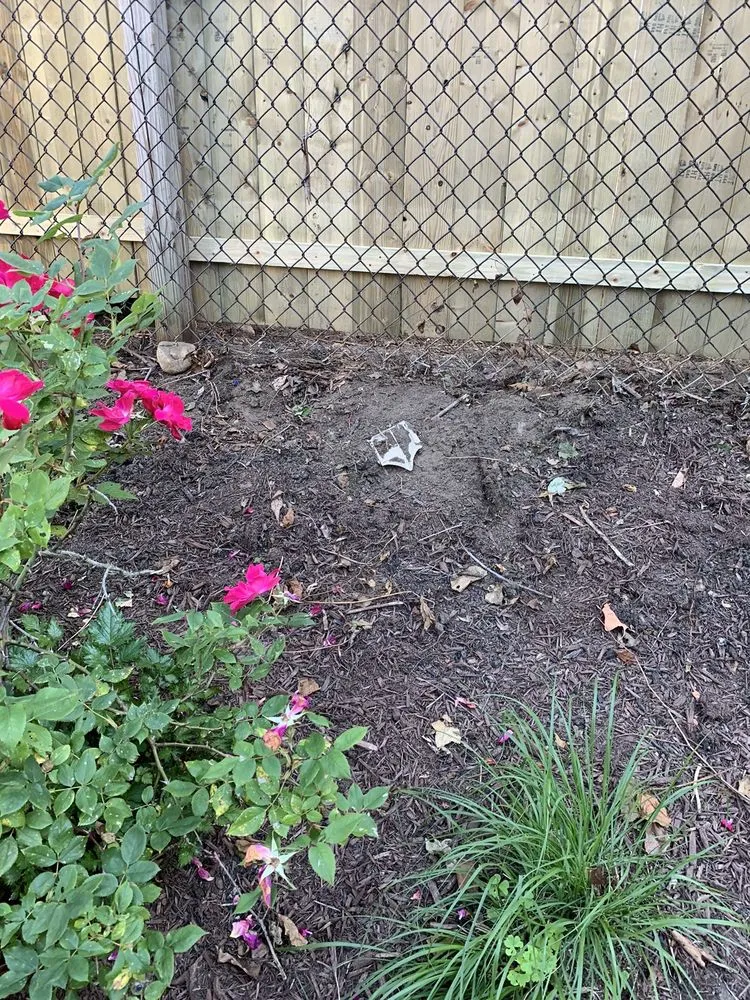 Top-rated landscape design in Stratford, CT - Happy Grass Landscaping