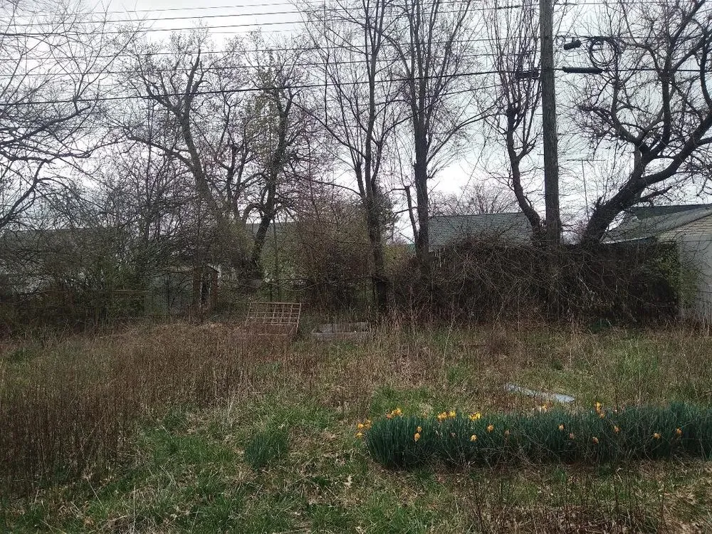 Professional lawn care service experts serving Lancaster, KY - Happy Grass Lawn Care