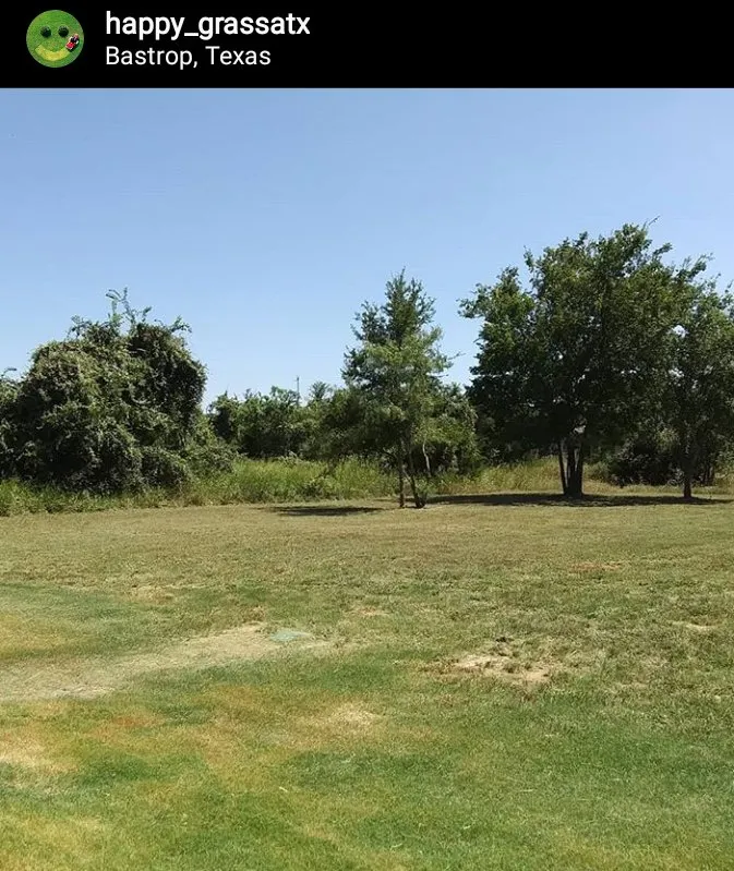 Professional landscaping services experts serving Bastrop, TX - Happy Grass Lawn Service