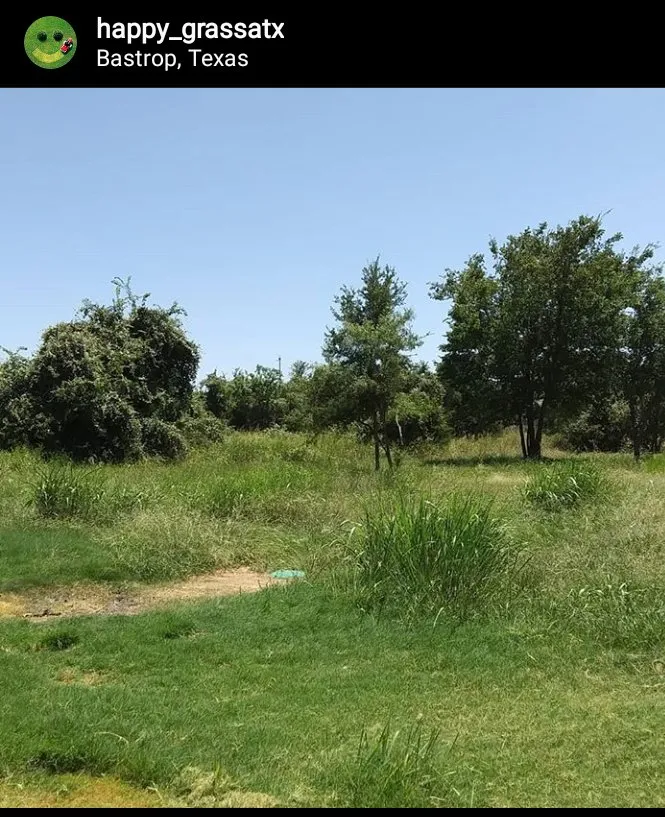 Custom garden landscaping in Bastrop, TX by Happy Grass Lawn Service