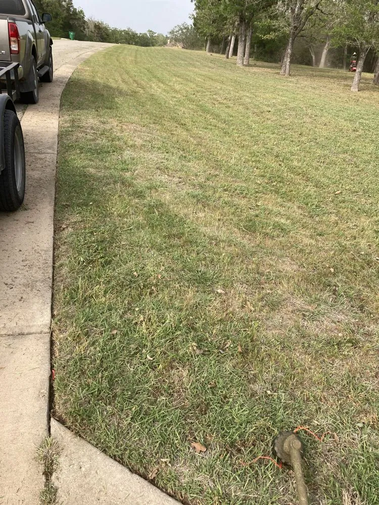 Local landscape design in Bastrop, TX - Happy Grass Lawn Service