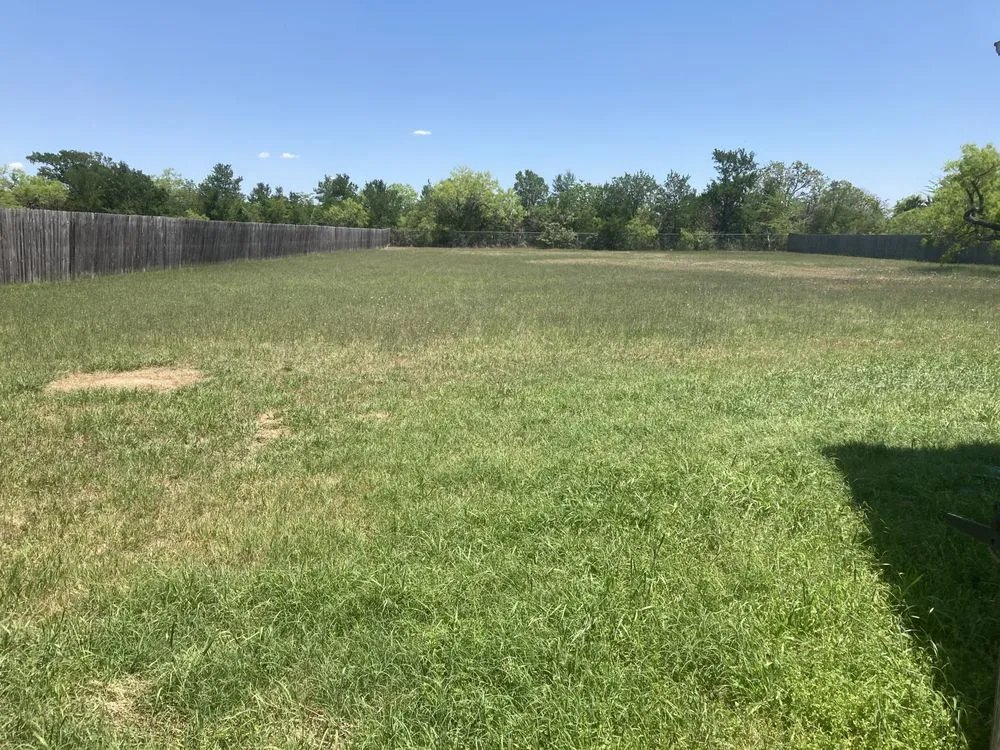 Professional landscaping services in Bastrop, TX by Happy Grass Lawn Service