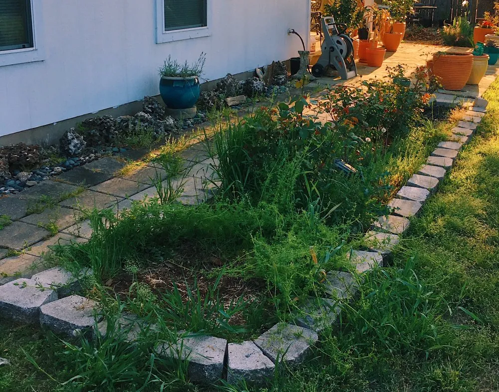 Local outdoor landscaping experts serving Bastrop, TX - Happy Grass Lawn Service