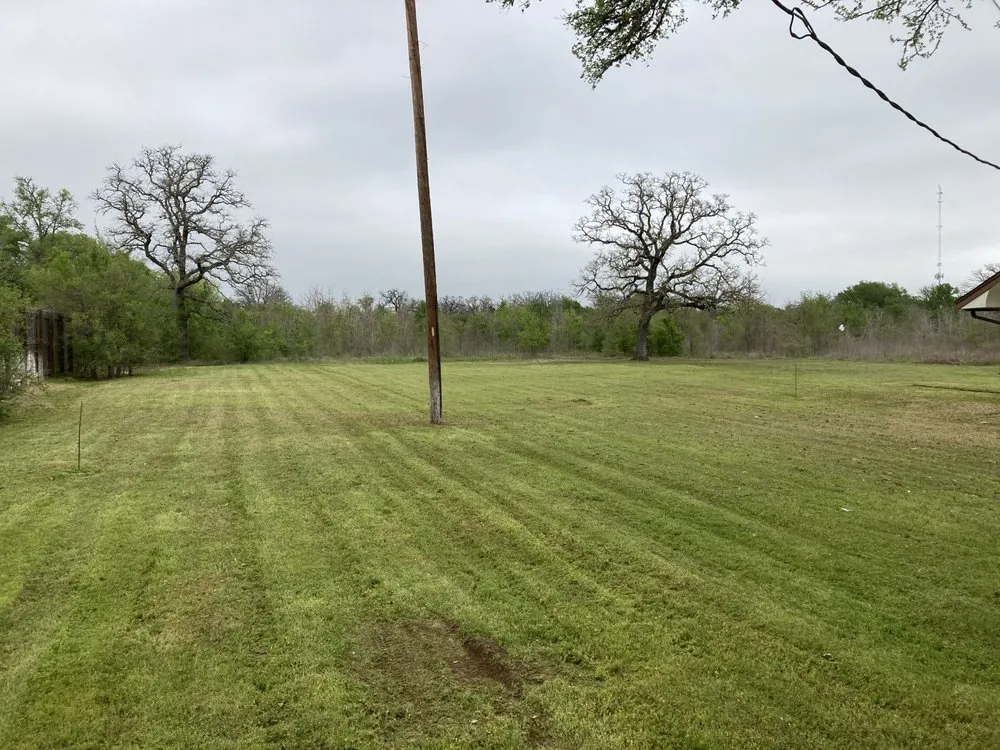 Custom yard cleanup service in Bastrop, TX - Happy Grass Lawn Service