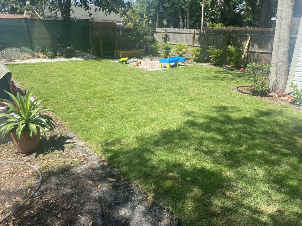 Custom yard maintenance experts serving St. Petersburg, FL - Happy Grass Lawn