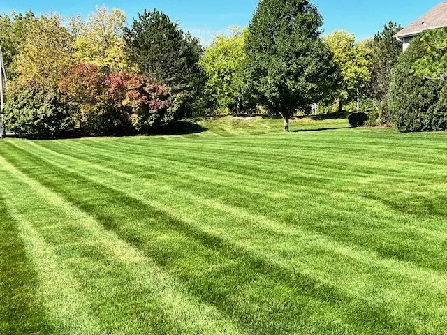 Top-rated yard maintenance for year-round maintenance across Franksville, WI - Happy Grass Outdoor